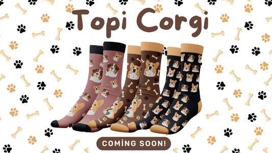 Topi Corgi Socks