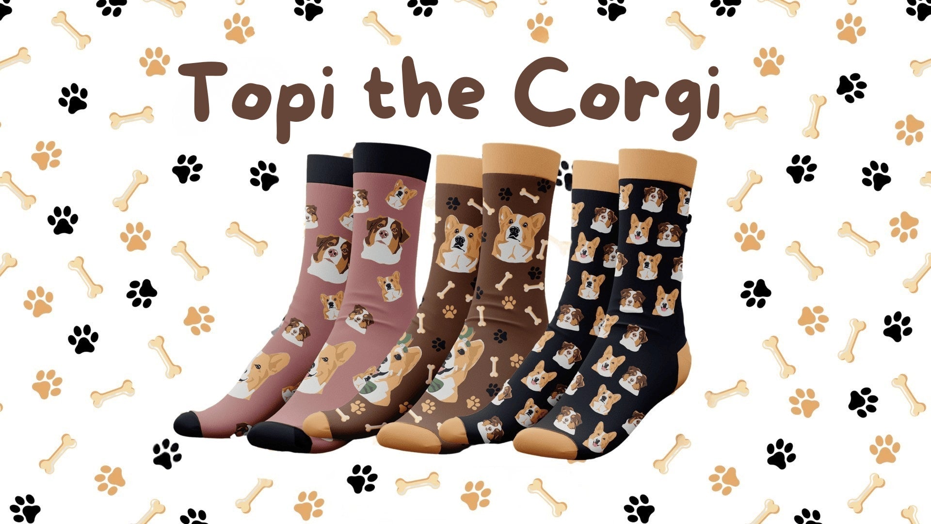 Topi the Corgi Socks – The Sock Designer