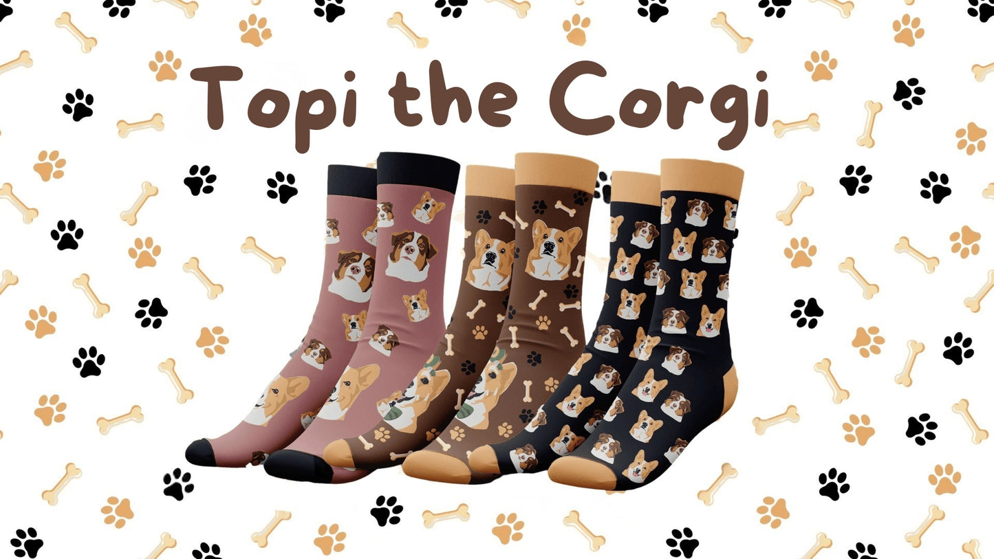 Topi the Corgi Socks